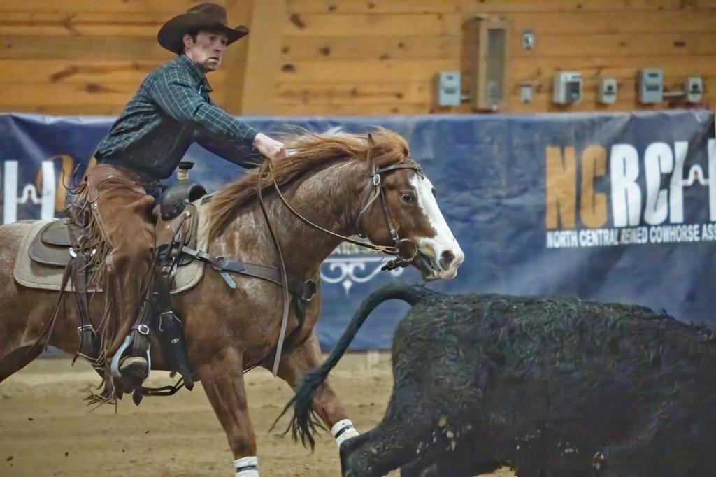 Integrating AI into Horse Training: The Future of Smart Horsemanship